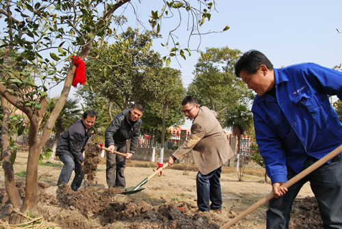 董事長楊猛、工會主席林銀華、生產部部長楊張仁、質檢部部長陳桑在植樹