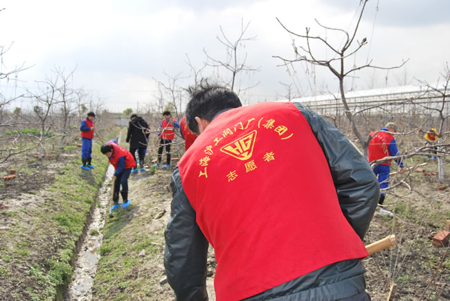 公司志愿者參與除草志愿活動