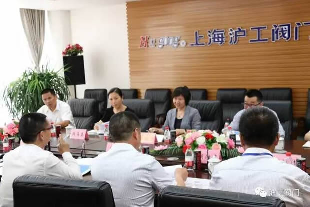 嘉定區副區長陸祖芳等領導一行蒞臨我公司視察指導工作(圖2)