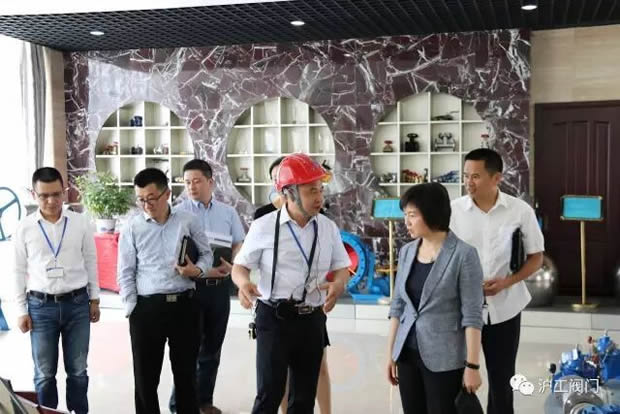 嘉定區副區長陸祖芳等領導一行蒞臨我公司視察指導工作(圖4)