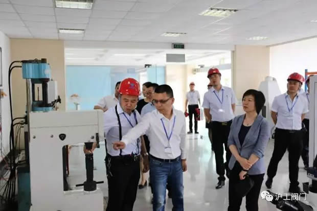 嘉定區副區長陸祖芳等領導一行蒞臨我公司視察指導工作(圖5)