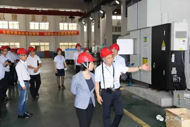 嘉定區副區長陸祖芳等領導一行蒞臨我公司視察指導工作(圖11)