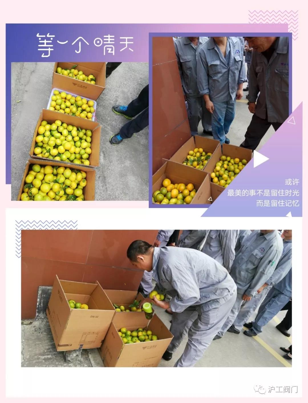 �ի@���ӣ��D5��