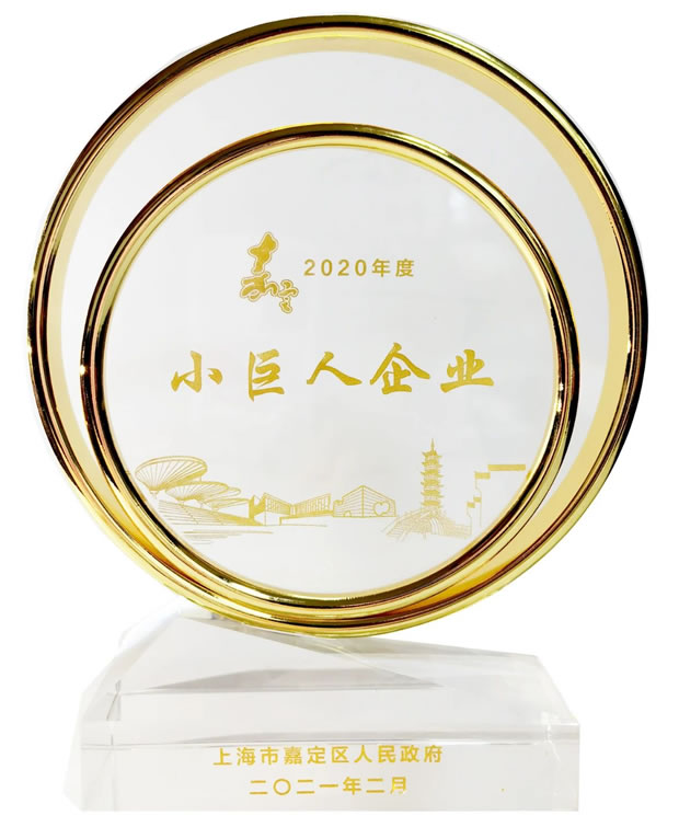 上海滬工閥門廠嘉定區(qū)小巨人榮譽獎杯